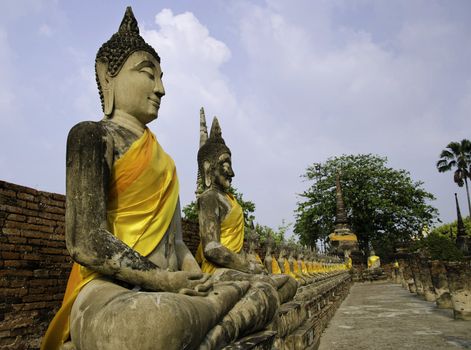 Buddha statues in a row at "Wat Yai-Chaimongkol, Buddhist temple in Ayutthaya - Thailand 