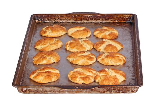 An entire pan of home-baked snickerdoodle cookies fresh out of the oven isolated against a a white background