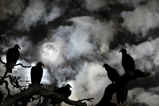 Several vultures are viewed as silhouettes by a rising full moon against a spooky black sky with white clouds