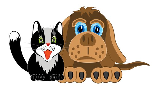 Pets dog and cat on white background is insulated