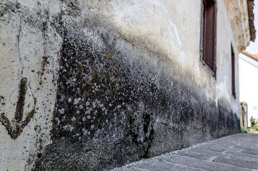 Old house with wall capillary suction problem.