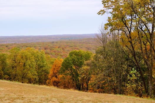 Brown County State Park