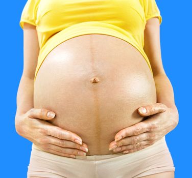 closeup stomach and hands of pregnant woman on blue background