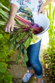 woman holding a bucket with freshly picked vegetables