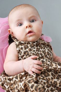 Cute newborn baby girl in leopard print dress, young fashionista