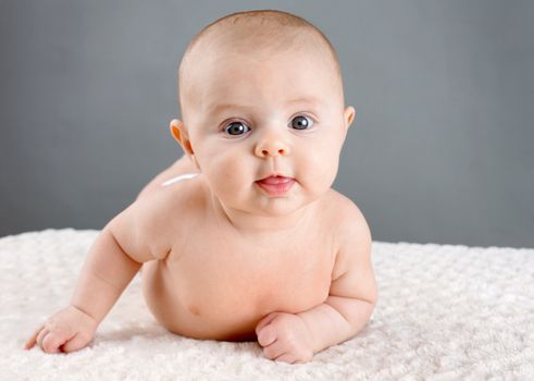 Cute baby on its belly lifting its head looking at camera