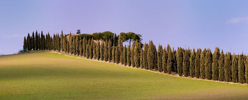 Tipycal country landscape in Tuscany in spring