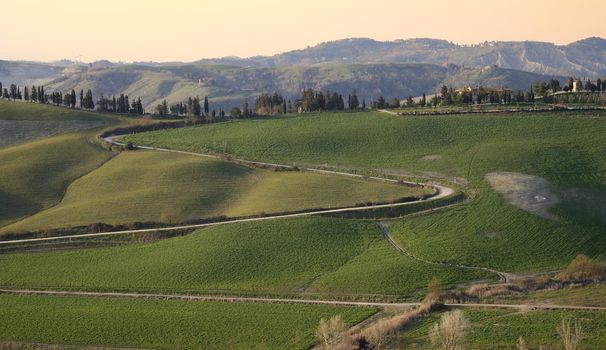 Tipycal country landscape in Tuscany in spring