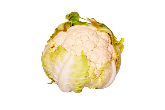 A head of cauliflower on white background