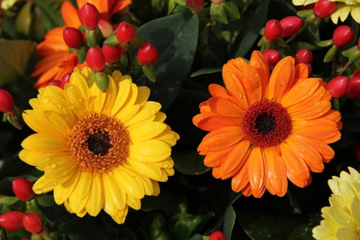 yellow and orange gerberas and berries in a floral arrangement