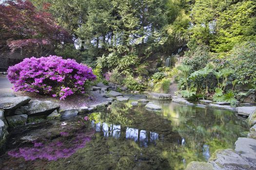 Waterfall and Pond at Crystal Springs Rhododendron Garden in Spring