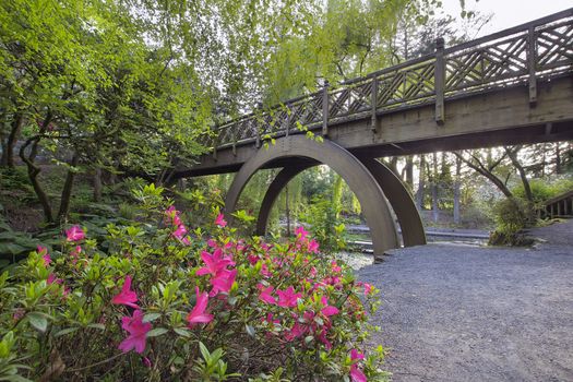 Arch Wooden Foot Bridge at Crystal Springs Rhododendron Garden with Azaleas Blooming in the Foreground