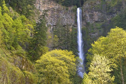 Multnomah Falls in Spring new growth and water Oregon.