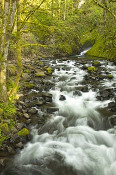 Fresh water stream Columbia River Gorge Oregon.