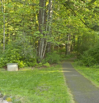 Path and Spring growth state park oregon.