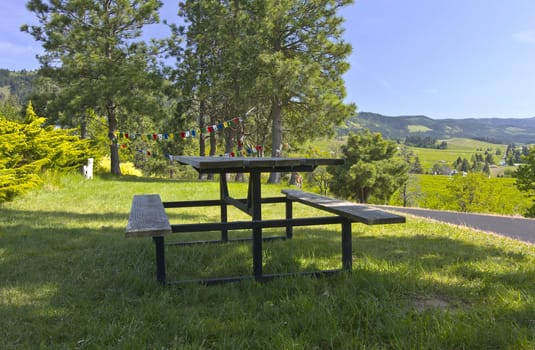 Picnic with a view Hood River Oregon.