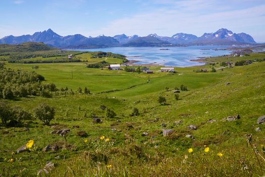 Picturesque scenery of Lofoten islands in Norway during sunny summer day