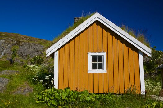 Picturesque yellow shed with green roof on Lofoten islands in Norway