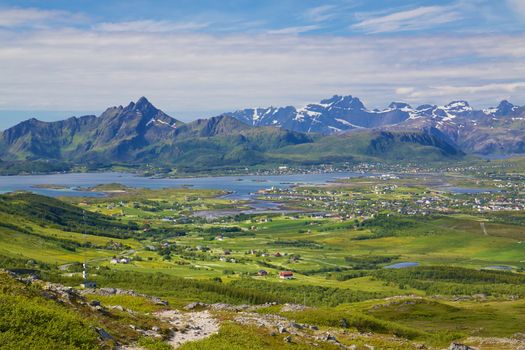 Scenic panorama of green Lofoten islands in Norway during summer