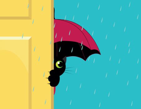 cat under an umbrella looking out of the door