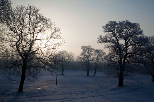 Winter landscape at sunny frozen morning
