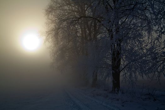 Winter landscape at sunny frozen morning
