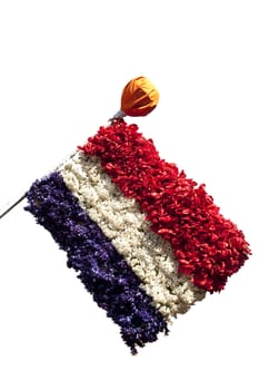 Dutch flag made of flowers isolated on white background