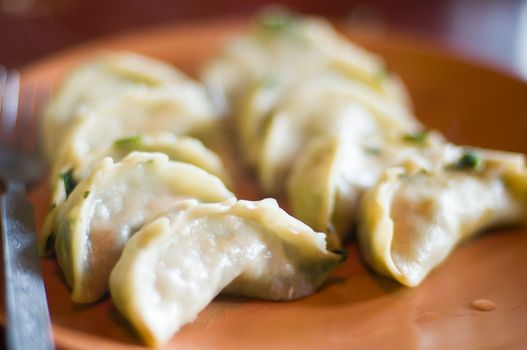 momo, an indian dumpling, India