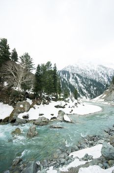 a landscape view during going to Sonoma valley,Kashmir,India