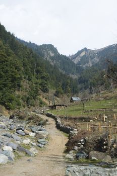 mountain in Pahalgam Valley, Kashmir, India