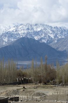 landscape of Leh, India