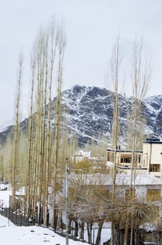 landscape of Leh, India