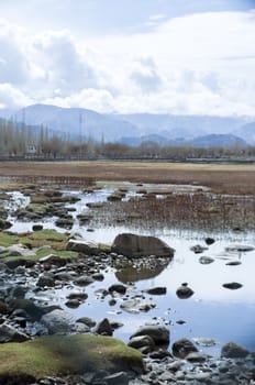 a lake in Leh, India