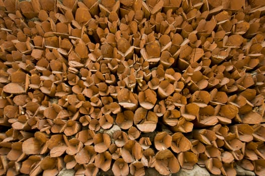 firewood in Leh, India