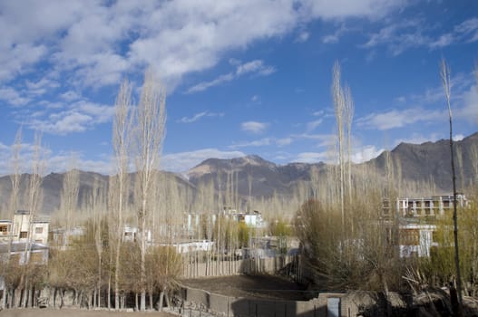 landscape view of Leh, India