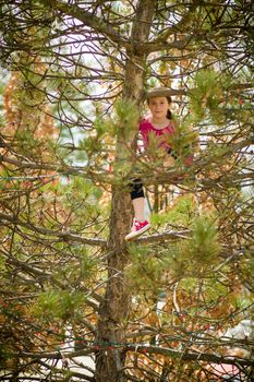 Young girl climbing a tree