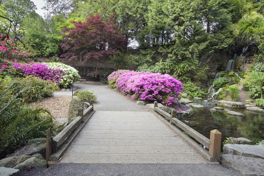 Foot Bridge across Waterfall Pond at Crystal Springs Rhododendron Garden in Spring Season