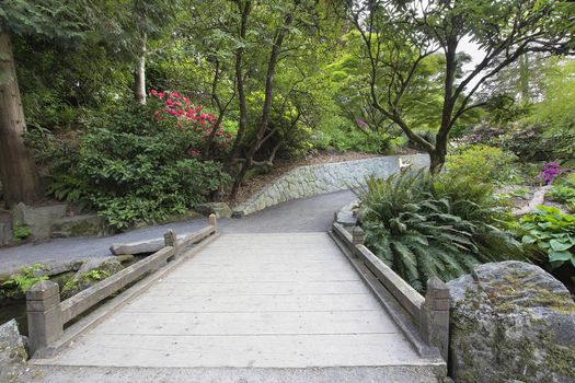Foot Bridge across Along Hiking Trail at Crystal Springs Rhododendron Garden in Spring Season