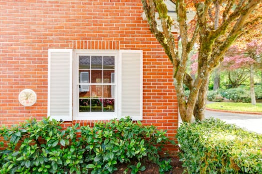 Brick house wall with white window and bushes.