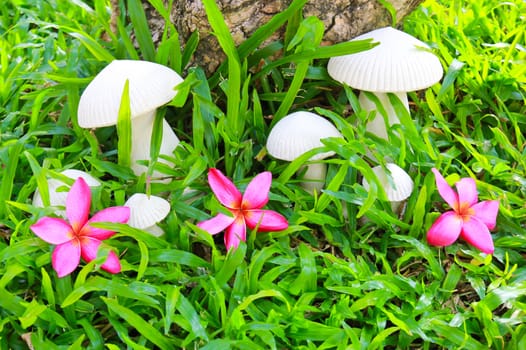 Ceramic sculpture mushroom with frangipani flowers in garden