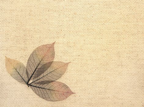 Background with leaves on canvas texture