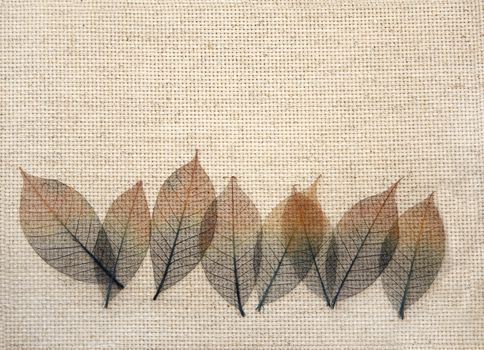 Background with leaves on canvas texture