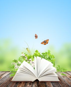 Book of nature on green background