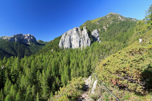 Sass de la Murada, dolomite monolith over larch forest in Laste, Veneto, Italy