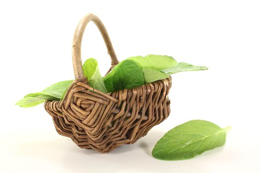 green borage in basket on a light background