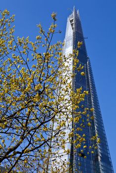 Looking up at the Shard in London.