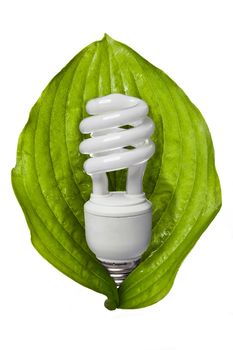 Image of an eco friendly fluorescent bulb on a white background