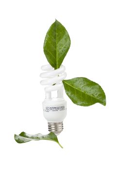 Image of ecological concept light bulb against white background