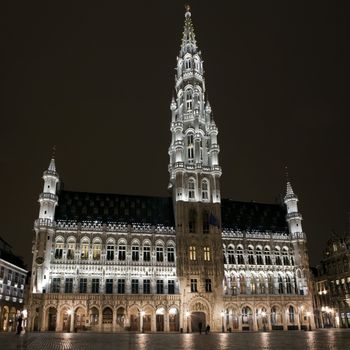 The magnificent Brussels City Hall/Town (Hotel de Ville).