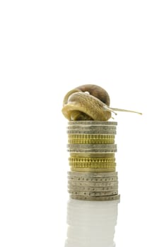 Snail sitting on top of pile of coins. Concept of slowly recovering economy.